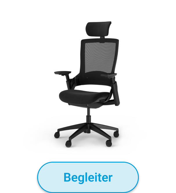 Bestseller Ergotopia NextBack
