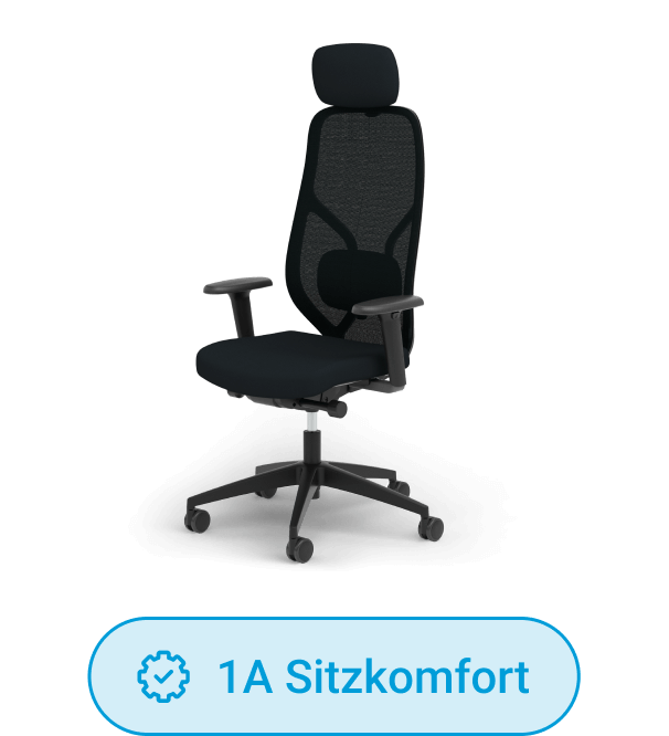 Premium-Schreibtischstuhl Ergotopia MasterBack Style