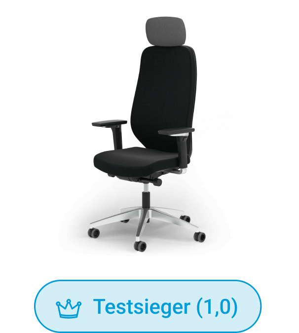 Premium-Schreibtischstuhl Ergotopia MasterBack Executive