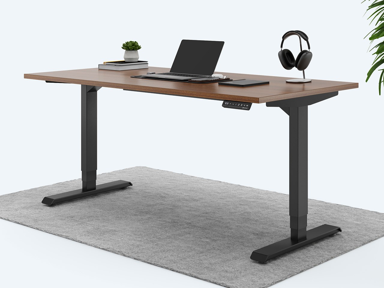 Ergotopia elektrisch höhenverstellbarer Schreibtisch / Ergonomischer Steh-Sitz Tisch mit Memory-Funktion (Nussbaum, 120x...