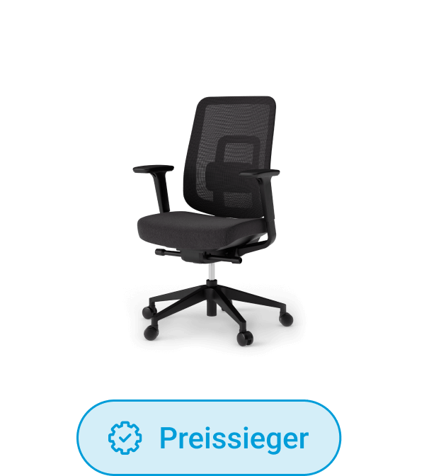 Preissieger-Stuhl Ergotopia PureBack