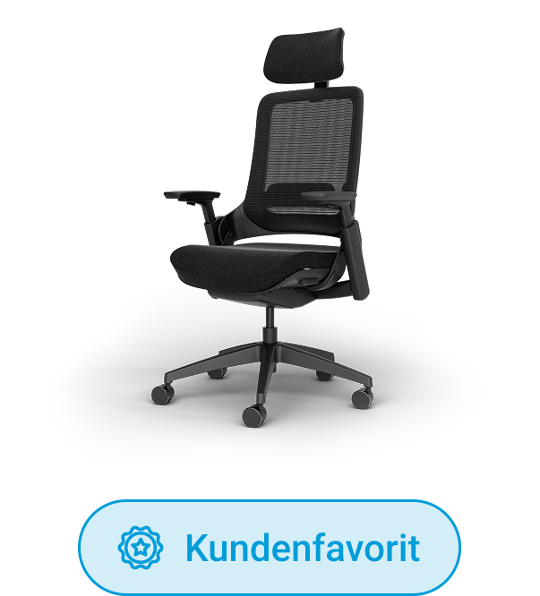 Premium-Schreibtischstuhl Ergotopia NextBack Pro