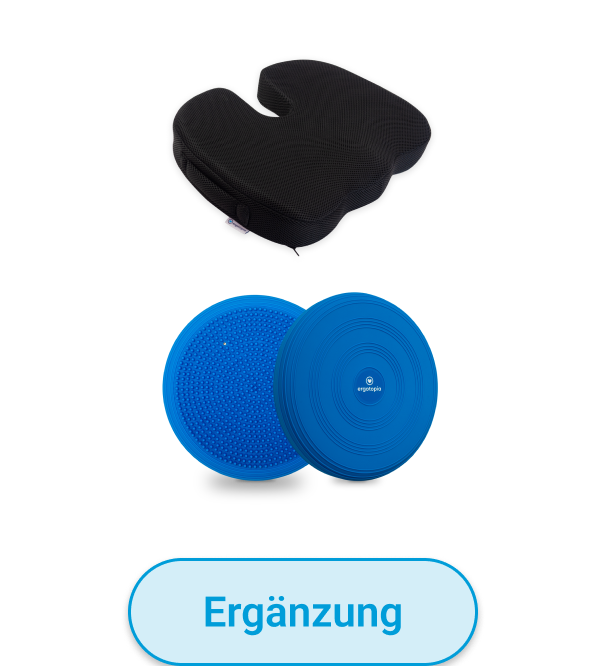 Premium-Schreibtischstuhl Ergotopia MasterBack Pro