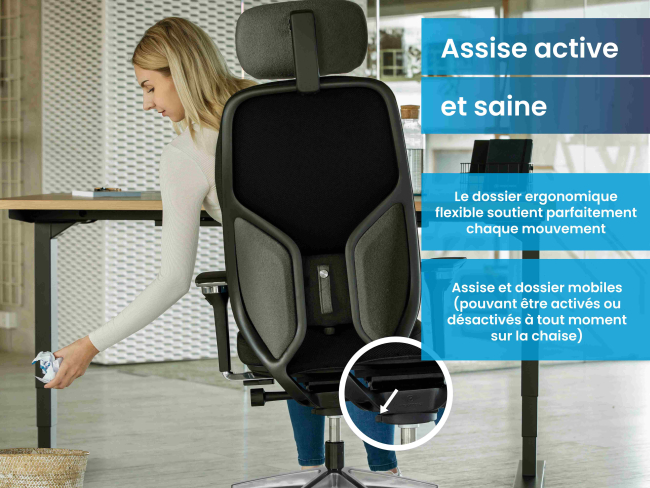 MasterBack Executive - 5