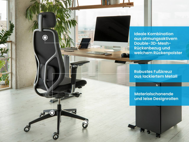 Ergotopia MasterBack Pro: Ergonomischer Sitzkomfort der Spitzenklasse - 3