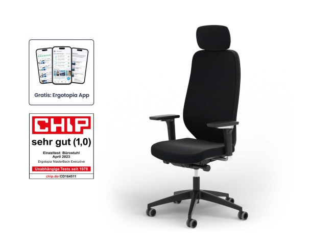 Ergotopia MasterBack Pro: Ergonomischer Sitzkomfort der Spitzenklasse - 12