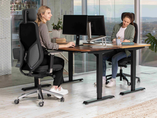 MasterBack Executive - 10